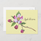 Watercolor Apple Blossom Postkarte (Vorne/Hinten)