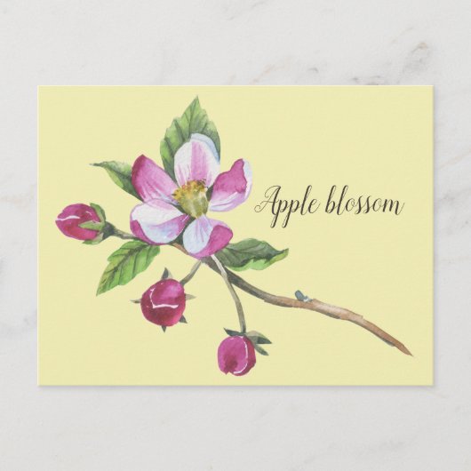 Watercolor Apple Blossom Postkarte (Vorderseite)