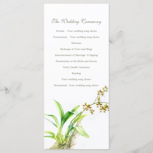 Watercolor Art Orchid Programm (Rückseite)