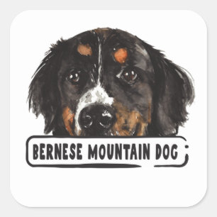 Watercolor Bernese Mountain Dog Square Sticker