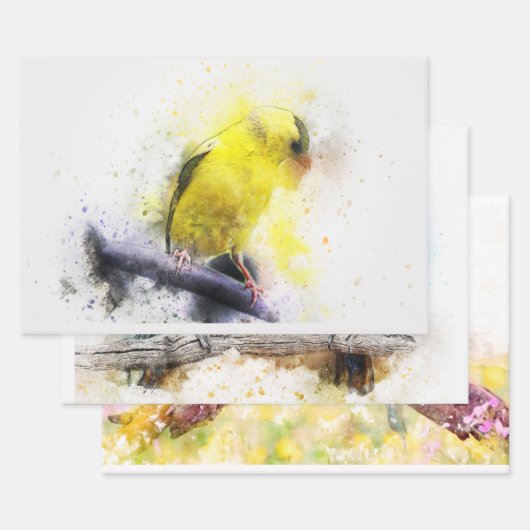 Watercolor Bird 5 Decoute Kunst, Dichtung und Musi Geschenkpapier Set (Set)