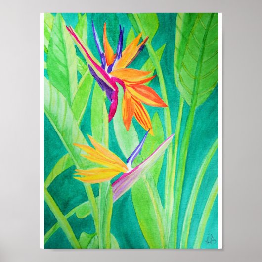 Watercolor Bird of Paradise Flowers Poster (Vorne)