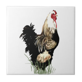 Watercolor Black & White Rooster Bird Chicken Fliese