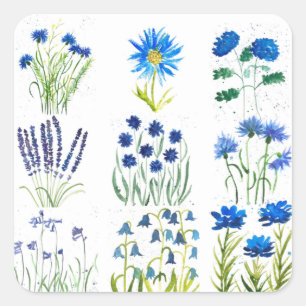 Watercolor Blaue Blumen Kollektion Chic Rustikal Quadratischer Aufkleber