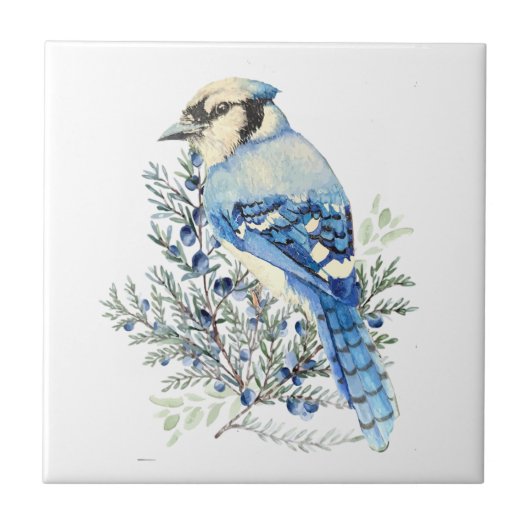 Watercolor Blue Jay Bird Blueberries Country Art Fliese (Vorderseite)