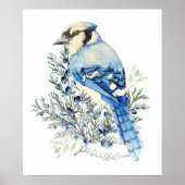 Watercolor Blue Jay Bird Blueberries Country Art Poster (Vorne)