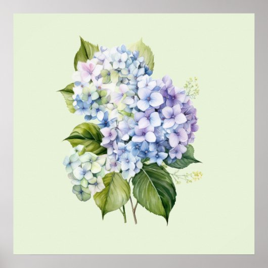 Watercolor Botanical Floral Hydrangea Poster (Vorne)