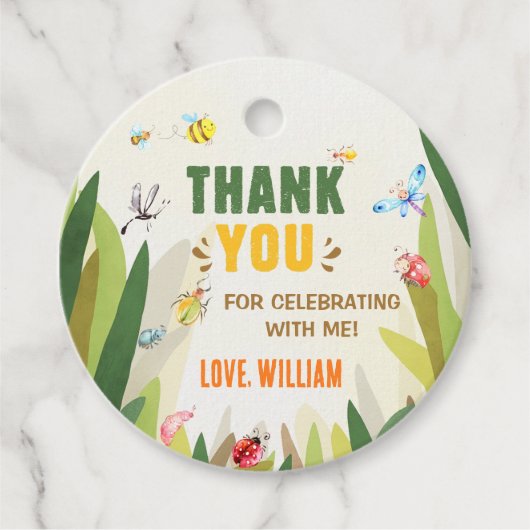 Watercolor Bug Insect Boy Birthday Geschenkanhänger (Vorderseite)