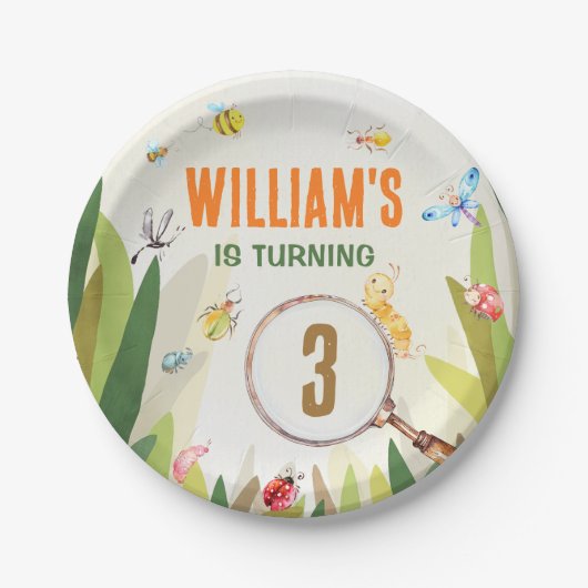Watercolor Bug Insect Boy Birthday Pappteller (Vorderseite)