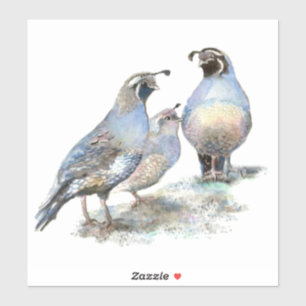 Watercolor, California Quail Bird Nature Aufkleber