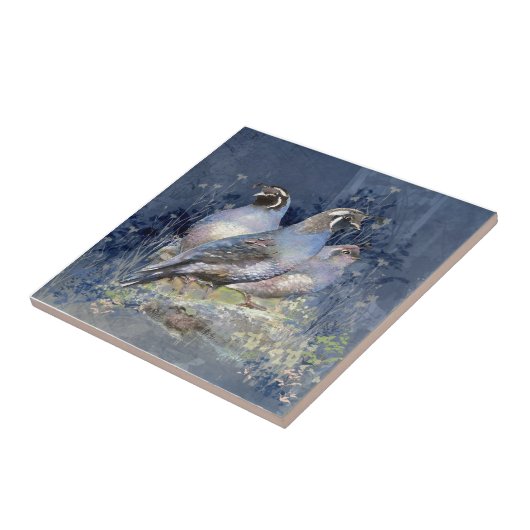 Watercolor California Quail Wildlife Bird Fliese (Seite)