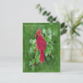 Watercolor Cardinal Bird Holly Berry Christmas Feiertagspostkarte (Stehend Vorderseite)