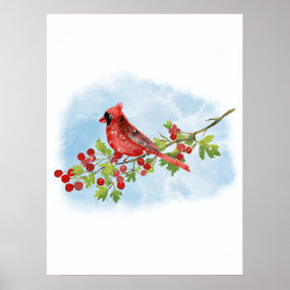 Watercolor Cardinal Bird on Berry Branch Poster