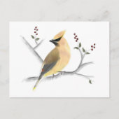Watercolor Cedar Waxing Postcard Postkarte (Vorderseite)