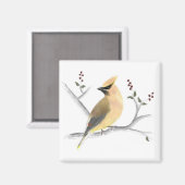 Watercolor Cedar Waxwing Magnet (Vorderseite/Rückseite)
