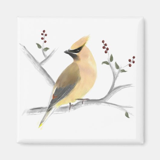 Watercolor Cedar Waxwing Magnet (Vorne)