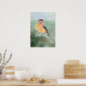 Watercolor Chaffinch Bird  Nature Art Poster (Küche)