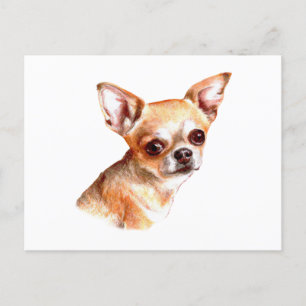 Watercolor Chihuahua Postkarte