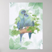 Watercolor Cuddling Parrot Bird Couple Tropical Poster (Vorne)