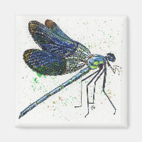 Watercolor Dragonfly Magnet