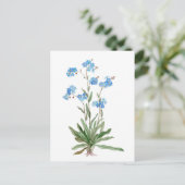 Watercolor drawing of Forget-me-not Flower Postkarte (Stehend Vorderseite)