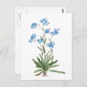 Watercolor  drawing of Forget-me-not Flower Postkarte (Vorne/Hinten)