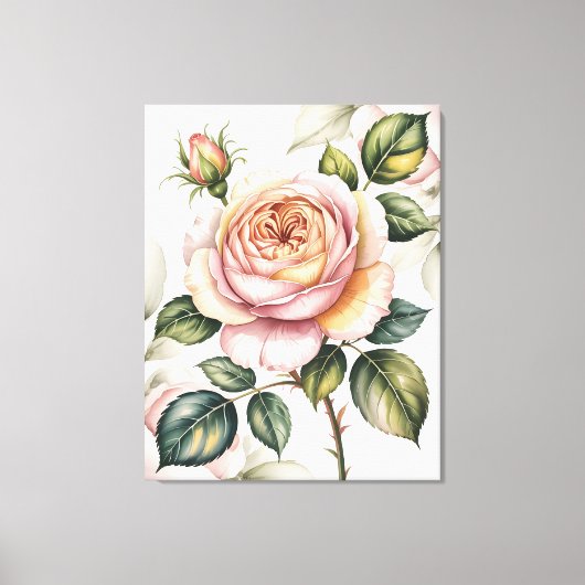Watercolor english rose leinwanddruck (Vorderseite)