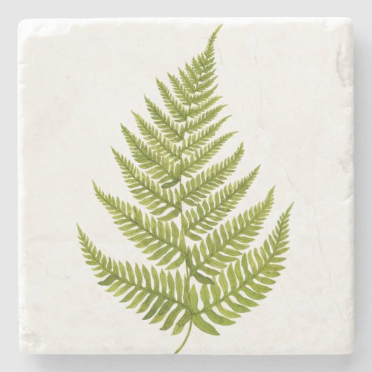 Watercolor Fern Pattern Steinuntersetzer (Vorderseite)