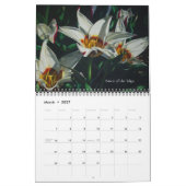 Watercolor Flowers Calendar Kalender (Mär 2027)
