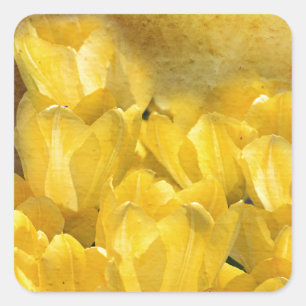 Watercolor-gelbe Tulpen mit Zickzack Quadratischer Aufkleber