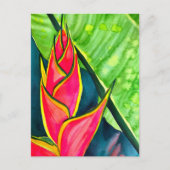 Watercolor Heliconia Tropical Blume Postkarte (Vorderseite)
