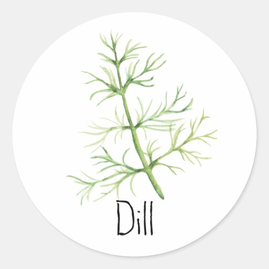 Watercolor Herb Dill Runder Aufkleber (Vorderseite)