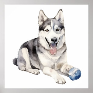 Watercolor Husky Dog Poster