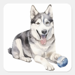 Watercolor Husky Dog Quadratischer Aufkleber
