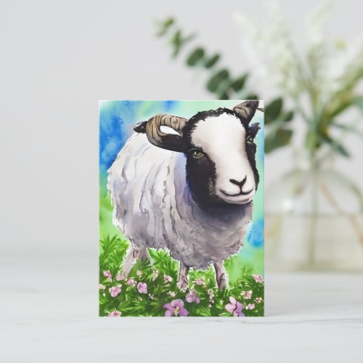 Watercolor Jacob Sheep Postkarte (Stehend Vorderseite)