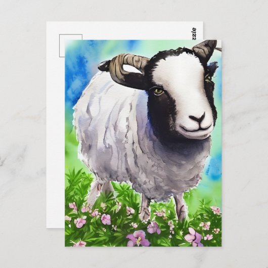 Watercolor Jacob Sheep Postkarte (Vorne/Hinten)
