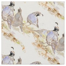 Watercolor, Kalifornien Quail Bird Kunst