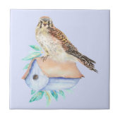 Watercolor Kestrel Sparrow Hawk Bird Fliese (Vorderseite)