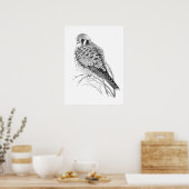 Watercolor Kestrel Sparrow Hawk Falcon Bird Poster (Küche)