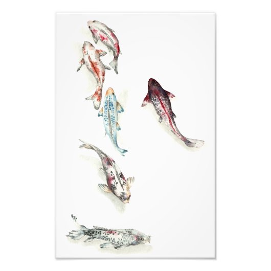 Watercolor Koi Fish Fotodruck (Vorne)
