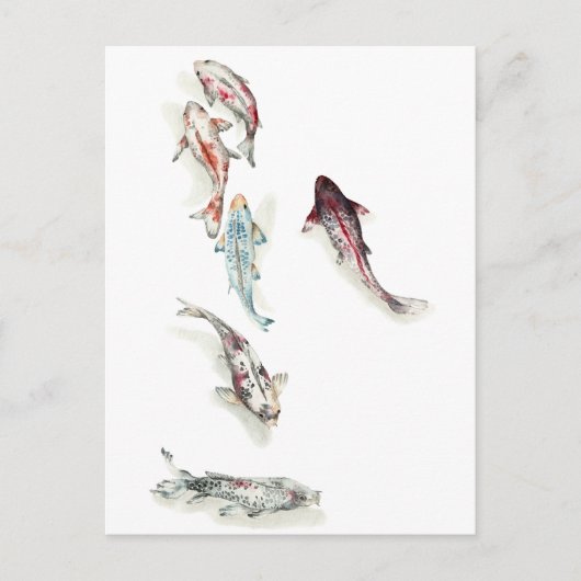 Watercolor Koi Fish Postkarte (Vorderseite)