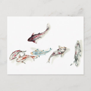 Watercolor Koi Fish Postkarte