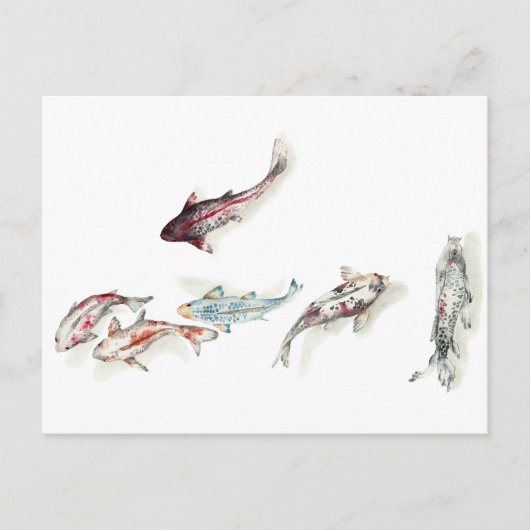 Watercolor Koi Fish Postkarte (Vorderseite)