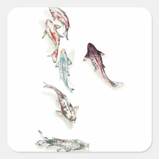 Watercolor Koi Fish Quadratischer Aufkleber (Vorderseite)