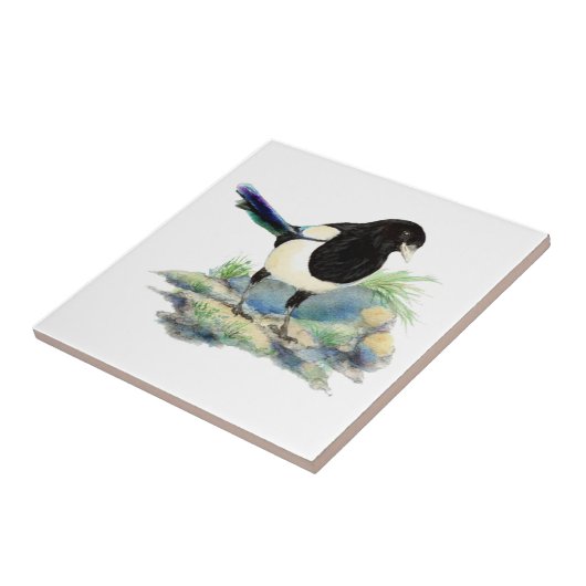 Watercolor Magpie Bird Blickfang Fliese (Seite)