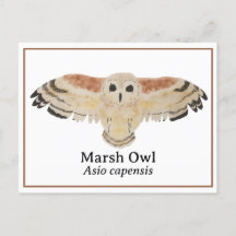 Watercolor Marsh Owl