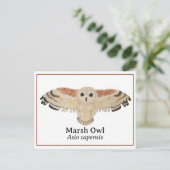 Watercolor Marsh Owl Postkarte (Stehend Vorderseite)