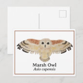 Watercolor Marsh Owl Postkarte (Vorne/Hinten)