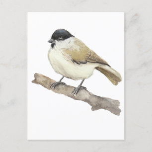 Watercolor Marsh Tit Feiertagspostkarte
