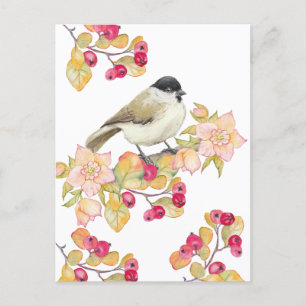 Watercolor Marsh Tit Postkarte